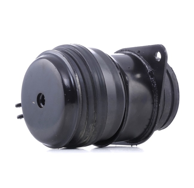 Numer OEM 1H0 199 262 A - Łożyskowanie silnika RH11-0107 AUDI, SKODA, SEAT, CUPRA