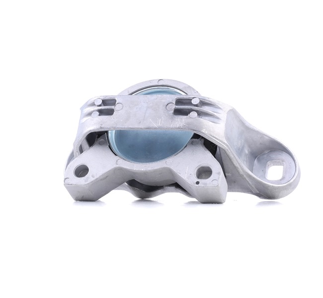 REINHOCH RH11-4013 Support moteur arrière et avant FORD Tourneo Connect Mk1