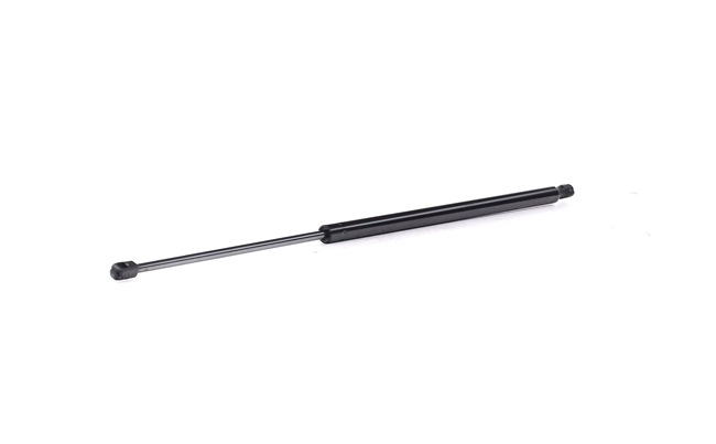 RIDEX 219G1025 boot struts Volkswagen Caddy III Van (2KA, 2KH, 2CA, 2CH) 1.9 TDI 4motion 105hp 2009