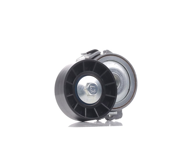 OEM nummer 1 231 958 - Spännrulle, aggregatrem SKTP-0600522 FORD, PEUGEOT, CITROËN, FIAT, SUZUKI
