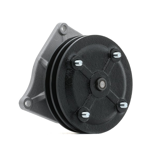 STARK SKWP-0520527 Pompe à eau Mitsubishi Pajero Pinin V6