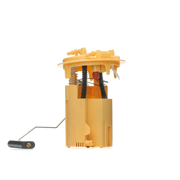 RIDEX 1382F0462 pompe de gavage CITROËN C4 Coupé 2.0 HDi 136CV 2005