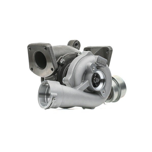 Turbolader 2234C10617 RIDEX Volkswagen Multivan T5 (7HM, 7HN, 7HF, 7EF, 7EM, 7EN) 2.5 TDI 2007 130 Pk