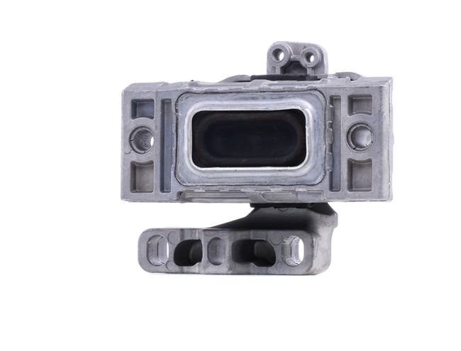 Supporto motore 247E0734 RIDEX Volkswagen Golf IV Variant (1J5) 1.6 2001 101 CV