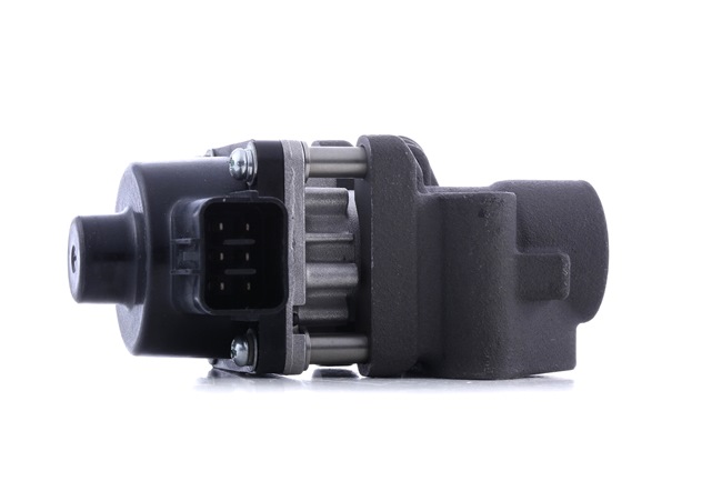 RIDEX | EGR Ventil uten pakning 4198E0102 SUZUKI SX4 I Sedan (GY) 2017 billige på nett