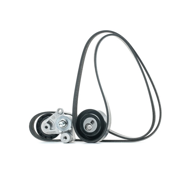 Número OEM 5751 81 - Jogo de correias trapezoidais estriadas SKRBS-1200697 VW, PEUGEOT, OPEL, CITROËN, PIAGGIO