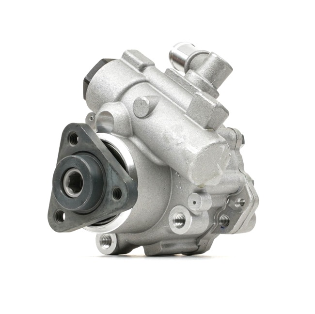 STARK SKHP-0540311 pompe de direction assistée Volkswagen Passat B5 GP Break (3BG, 3B6) 2.5 TDI 163CV 2005