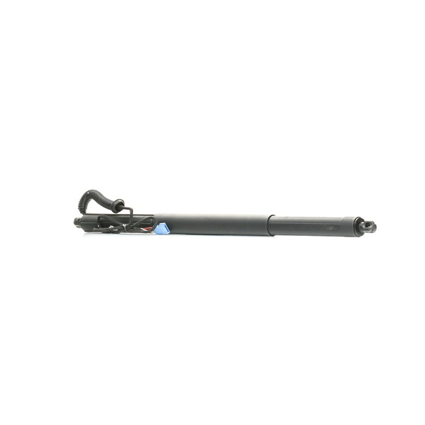 RIDEX 219G1033 boot struts BMW X3 (F25) sDrive 18 d 143hp 2013