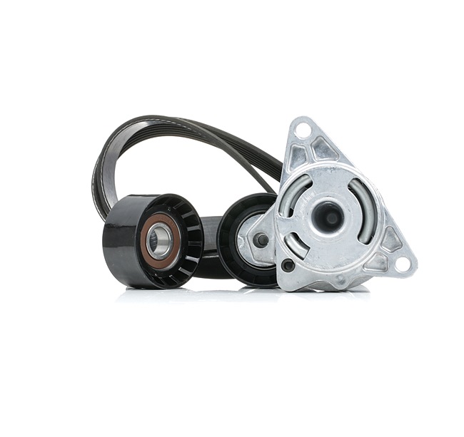 Número OEM 77 01 478 360 - Jogo de correias trapezoidais estriadas SKRBS-1200702 RENAULT, DACIA