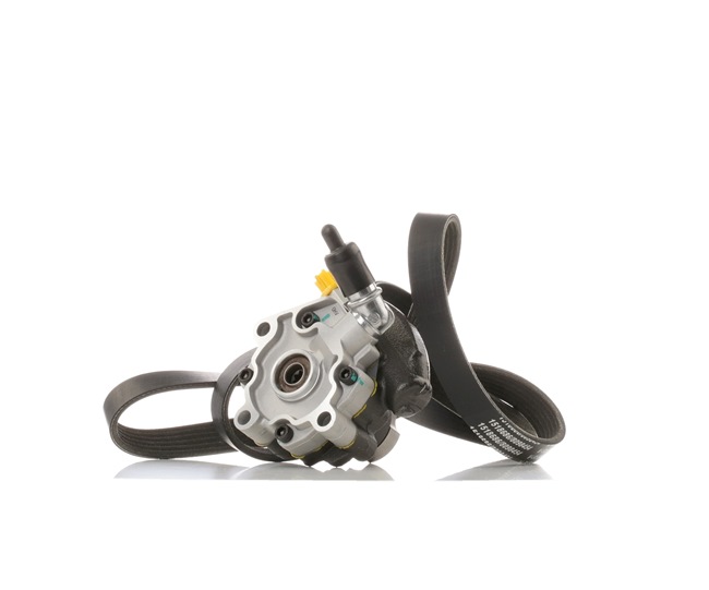 OEM-Nummer 1 102 827 - Servopumpe 12H0320 VW, BMW, MERCEDES-BENZ, TOYOTA, FORD