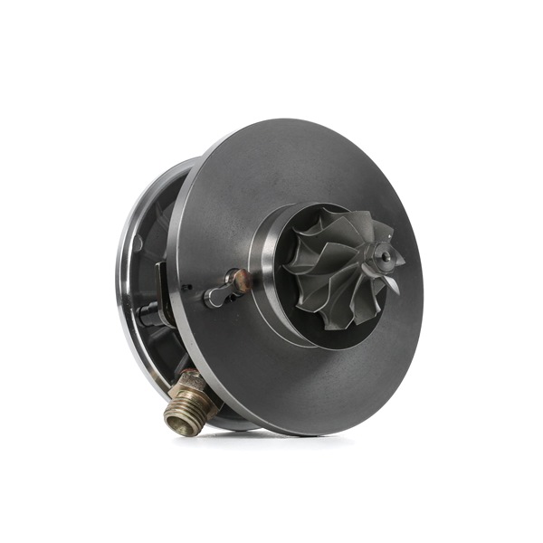 Abgasturbolader 4973C0133 RIDEX SKODA Octavia II Schrägheck (1Z3) 1.9 TDI 2009 105 PS