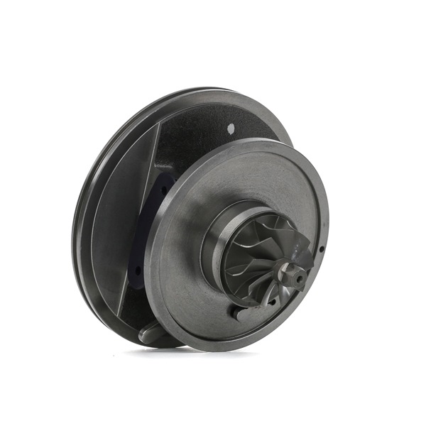 RIDEX | Turbolader 4973C0180 RENAULT Megane II Hatchback (BM, CM) 2004 billige på nett
