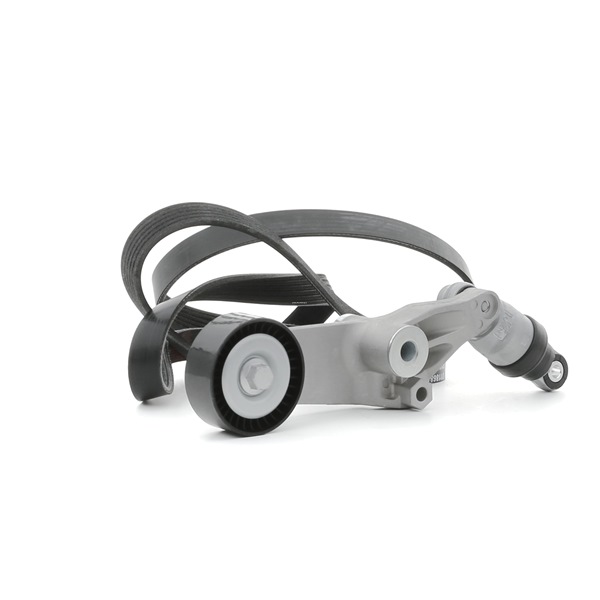 Numéro OEM 6C1Q 6C301 CC - Jeu de courroies trapézoïdales à nervures SKRBS-1200708 FORD, FORD USA