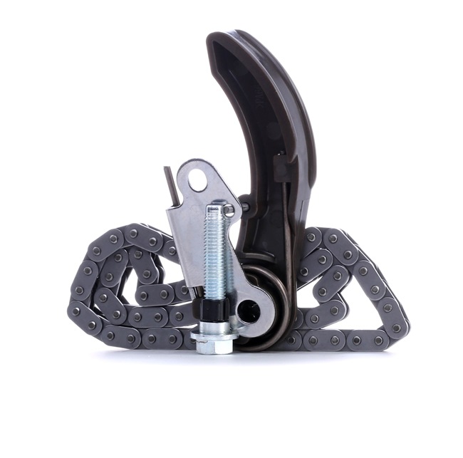 Numer OEM 55 573 876 - Zestaw łańcucha, napęd pompy oleju 6138C0013 OPEL, CHEVROLET, VAUXHALL