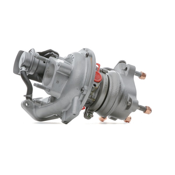 kjøpe RIDEX REMAN (2234C10655R) Turbolader