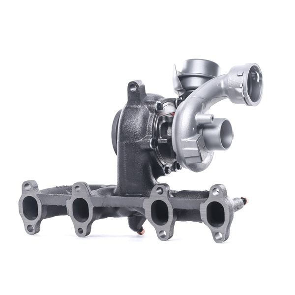 Turbolader 2234C10174R RIDEX REMAN Volkswagen Multivan T5 (7HM, 7HN, 7HF, 7EF, 7EM, 7EN) 1.9 TDI 2007 102 Pk