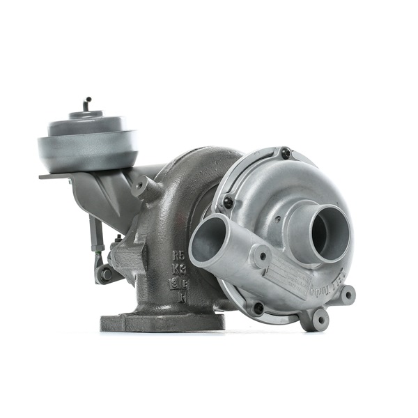 RIDEX REMAN (2234C10694R) Turbolader kaufen
