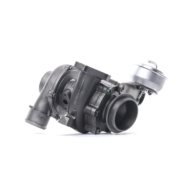 kupić RIDEX REMAN (2234C0263R) Turbosprężarka
