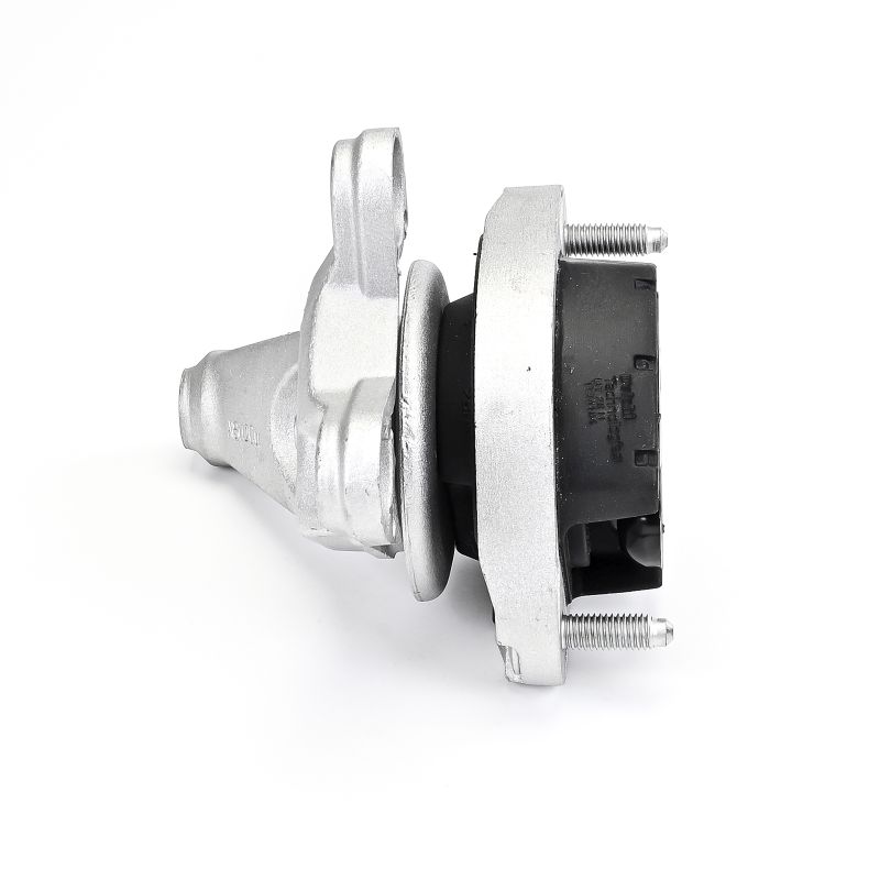 DELPHI Getriebehalter hinten TEM184 37,65 € online erwerben