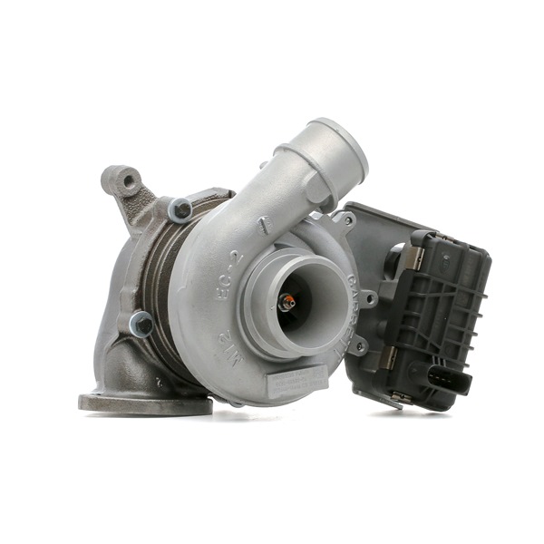 RIDEX REMAN | Turbolader inkl. tetningssett 2234C10738R LAND ROVER Freelander 2 SUV (L359) 2014 billige på nett