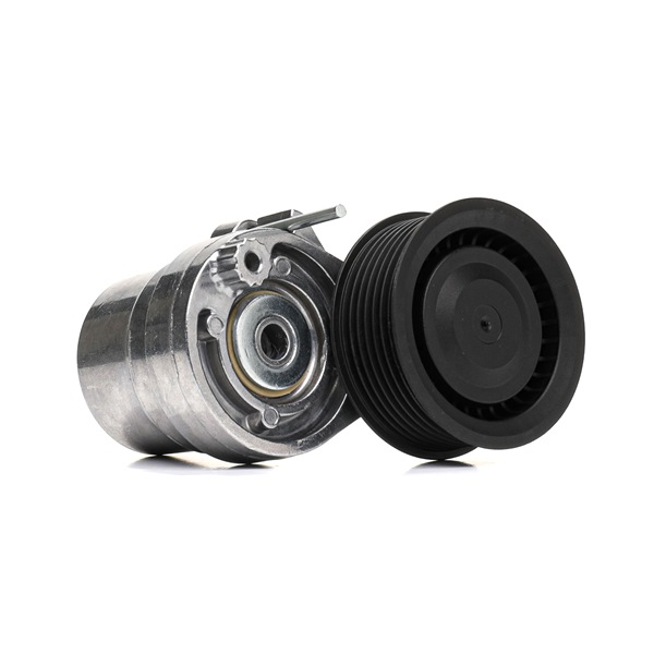 RIDEX | Rolo tensor correia trapezoidal estriada Ø: 75,00mm 310T0531 SMART #3 SUV 2023 baratos online