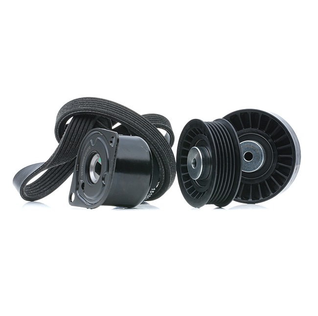 Kit Cinghie Poly-V 542R0730 RIDEX Volkswagen Transporter T4 Bus (70B, 70C, 7DB, 7DK, 70J, 70K, 7DC, 7DJ) 2.4 D Syncro 1995 78 CV