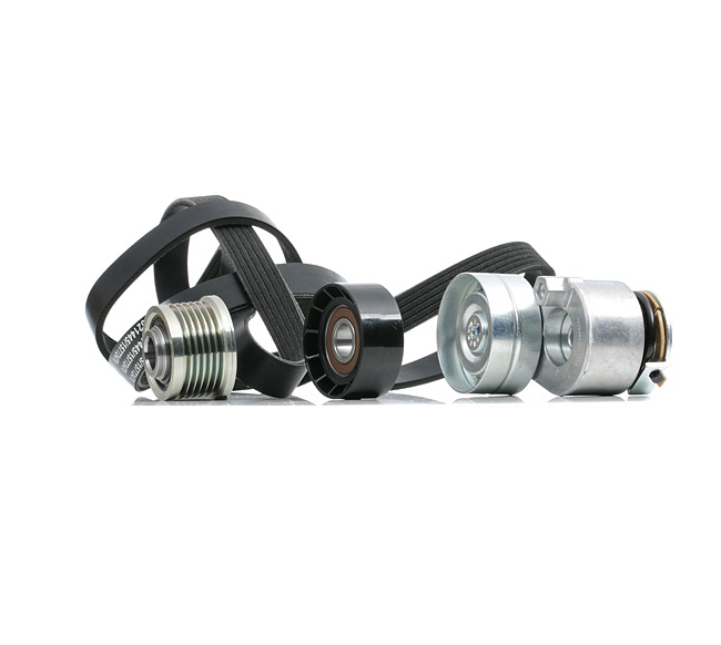 OEM nummer 82 00 840 823 - Drivremssats 542R0732 VOLVO, RENAULT, OPEL, NISSAN, MITSUBISHI