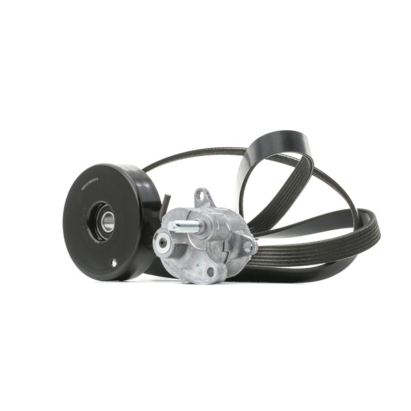 Numéro OEM 0 0A9 033 41 - Jeu de courroies trapézoïdales à nervures 542R0738 AUDI, MERCEDES-BENZ, SEAT, SKODA, PORSCHE
