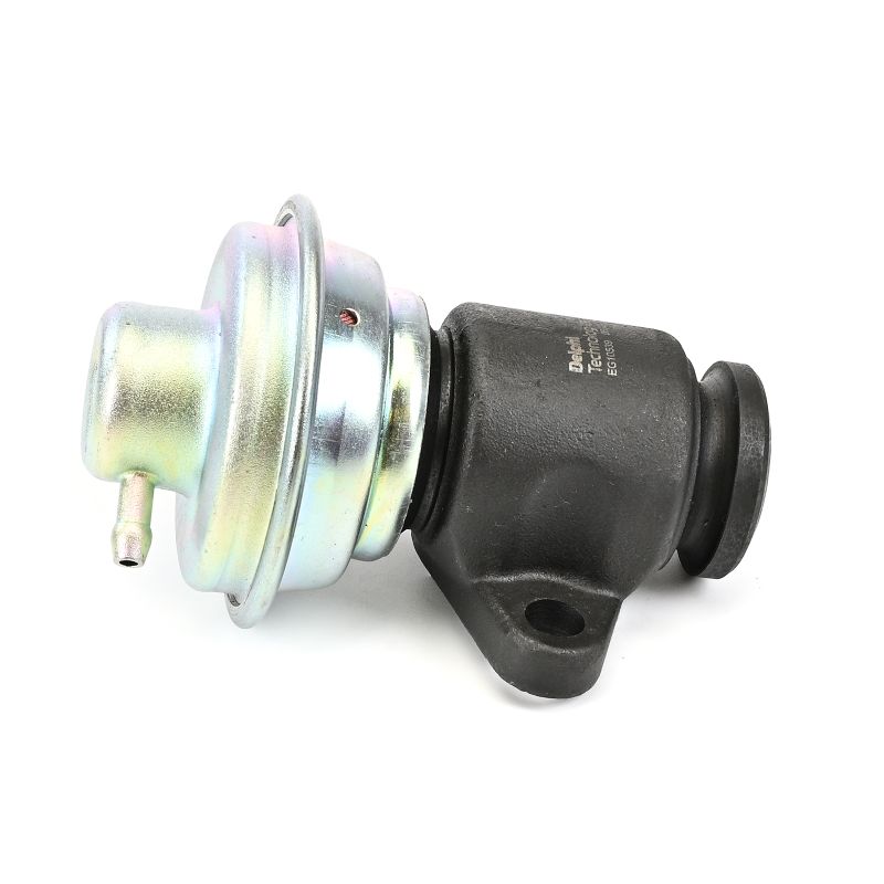DELPHI EG10539-12B1 EGR valve RENAULT MASTER 2 Kasten (FD) 1.9 dTI 80 hp Diesel 2000