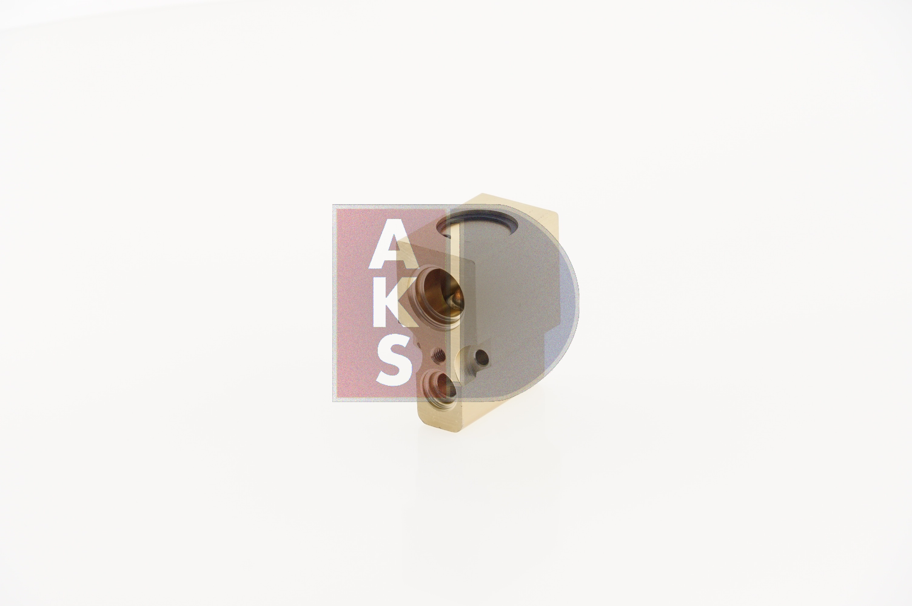 AKS DASIS 840210N Expansionsventil, Klimaanlage RENAULT MEGANE Scenic (JA0/1_) 1.9 dT 90 PS Diesel 1997