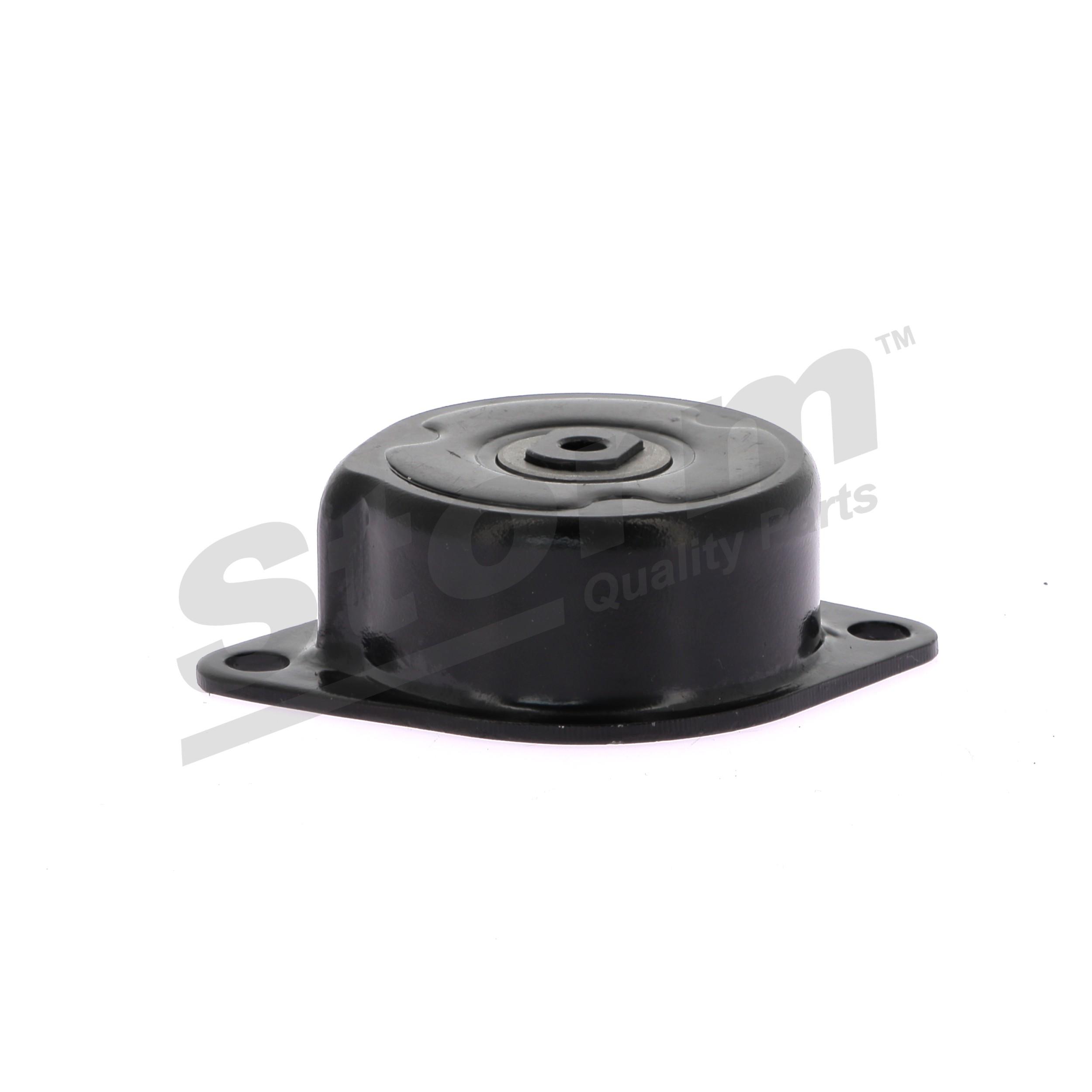 Tenditore cinghia servizi F4447 STORM QUALITY PARTS Volkswagen Transporter T4 Bus (70B, 70C, 7DB, 7DK, 70J, 70K, 7DC, 7DJ) 2.5 Syncro 1993 110 CV