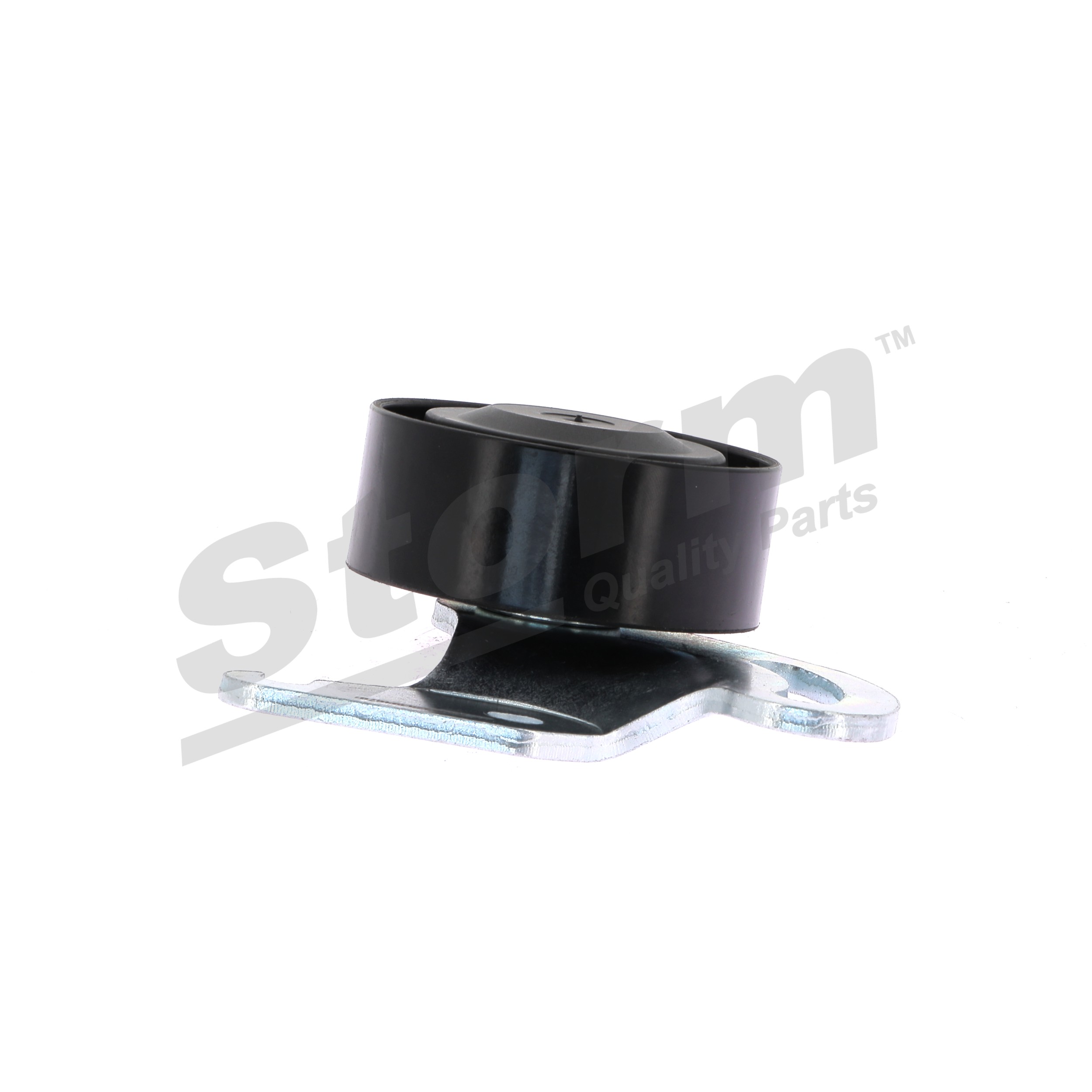 Polia de desvio / de guia, correia trapezoidal estriada F4679 STORM QUALITY PARTS RENAULT Clio II Hatchback (BB, CB) 1.2 16V (BB05, BB0W, BB11, BB27, BB2T, BB2U, BB2V, CB05,... 2014 75 cv