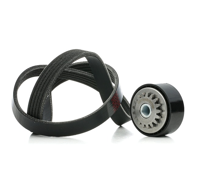 Keilrippenriemensatz 542R0855 RIDEX RENAULT Clio II Schrägheck (BB, CB) 1.2 LPG (BB0A, CB0A) 2000 60 PS