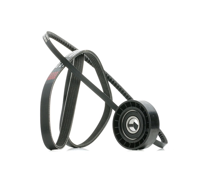 Jogo de correias trapezoidais estriadas 542R0867 RIDEX FIAT Tipo Hatchback (160) 1.6 i.e. 1994 75 cv