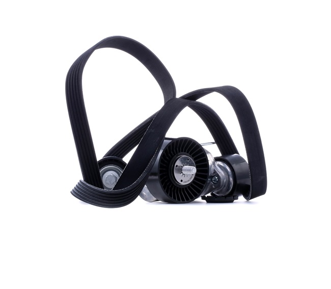 Jogo de correias trapezoidais estriadas 542R0886 RIDEX BMW 1 Hatchback (E87) 116 d 2009 116 cv