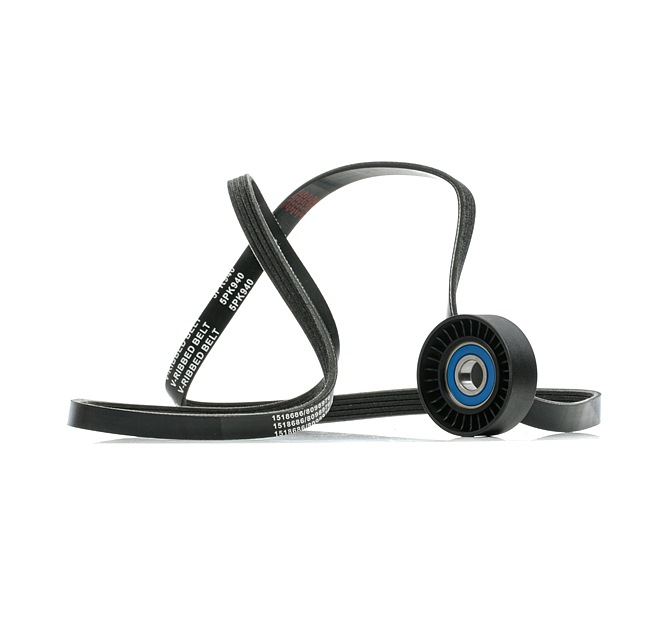 RIDEX 542R0889 Serpentine belt FIAT STILO Multi Wagon (192) 1.6 16V 103 hp Petrol 2004
