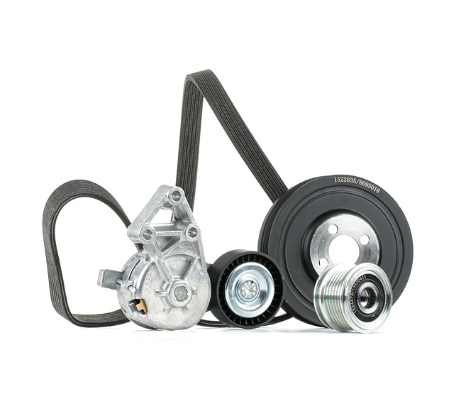 RIDEX 542R0899 serpentine belt SEAT Alhambra I (7V8, 7V9) 1.9 TDI 150hp 2005