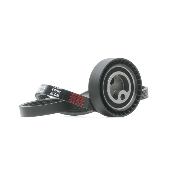 Rippenriemen 542R0927 RIDEX LAND ROVER Range Rover II (P38A) 2.5 D 4x4 1997 136 PS