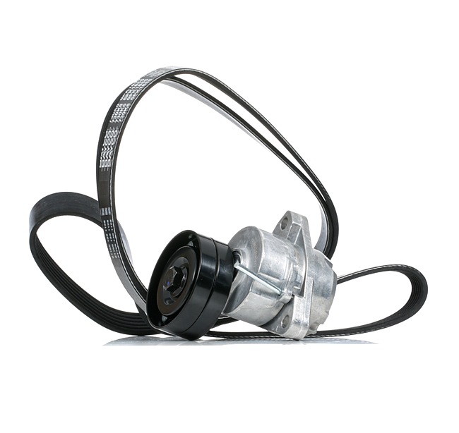 RIDEX 542R0933 serpentine belt OPEL Frontera B Off-Road (U99) 2.2 i 136hp 2001