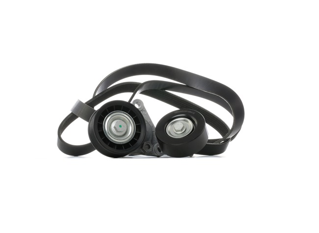 RIDEX 542R0950 Keilrippenriemensatz