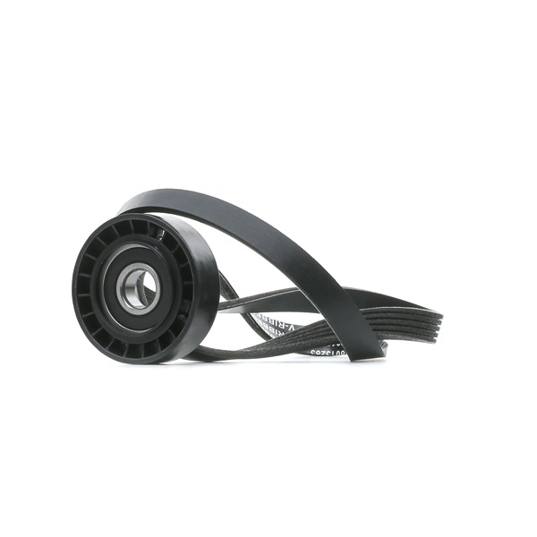 STARK SKRBS-1200967 Poly v-belt kit FIAT TIPO (160) 1.6 i.e. 78 hp Petrol 1990