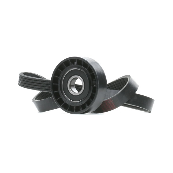 Jogo de correias trapezoidais estriadas 542R0969 RIDEX FIAT Tipo Hatchback (160) 1.6 i.e. 1992 75 cv