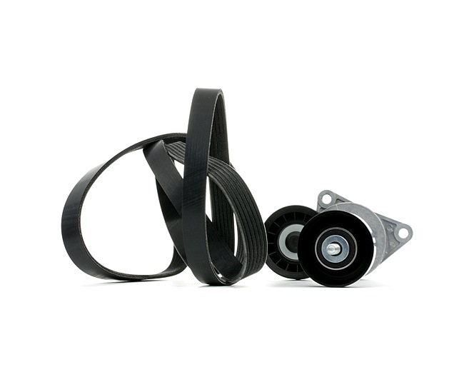 RIDEX 542R0978 serpentine belt FORD Transit Connect Mk1 Van 1.8 16V LPG 116hp 2004