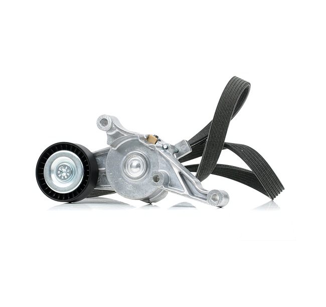 Jogo de correias trapezoidais estriadas 542R0987 RIDEX VW Sharan I (7M8, 7M9, 7M6) 1.9 TDI 4motion 2003 115 cv