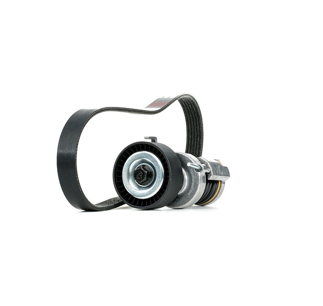 Kileremssæt 542R0992 RIDEX AUDI A2 (8Z0) 1.6 FSI 2002 110 HK