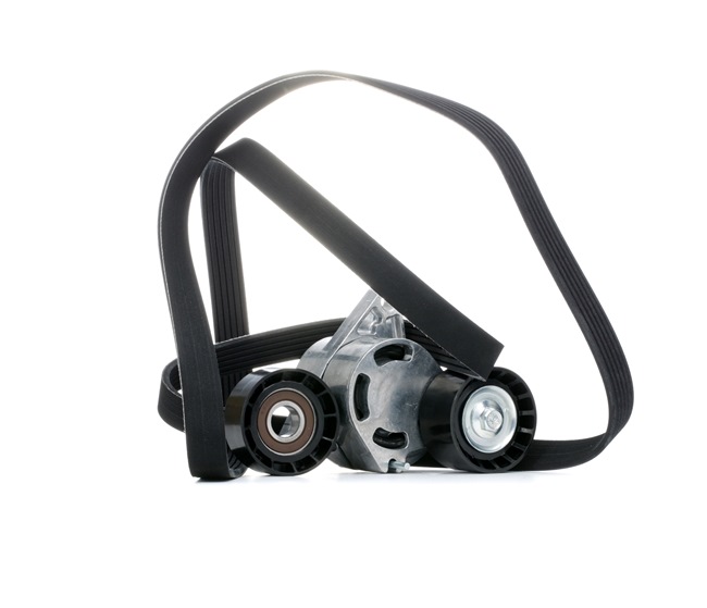 Aandrijfriem 542R0997 RIDEX RENAULT Master II Flatbed Vrachtwagen/Chassis 2.2 dCI 90 2004 90 Pk