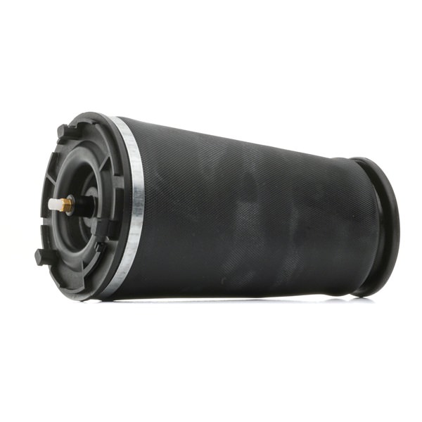Numer OEM 15125532 - Poduszka zawieszenia 4119A0094 CHEVROLET, SAAB, GMC, LINCOLN, BUICK