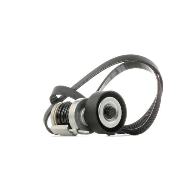 Aandrijfriem 542R1019 RIDEX Volkswagen New Beetle Hatchback (9C1, 1C1) 1.4 2007 75 Pk
