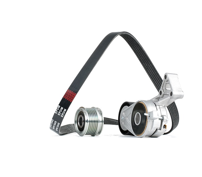 RIDEX 542R1030 courroie d'alternateur SEAT Altea XL (5P5, 5P8) 1.6 LPG 102CV 2009