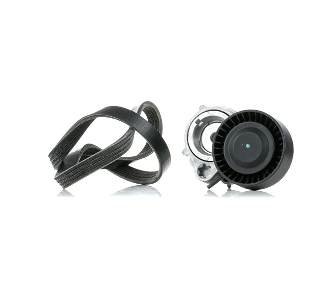 RIDEX 542R1034 Poly v-belt kit BMW 5 Saloon (E39) 520i 2.2 170 hp Petrol 2001